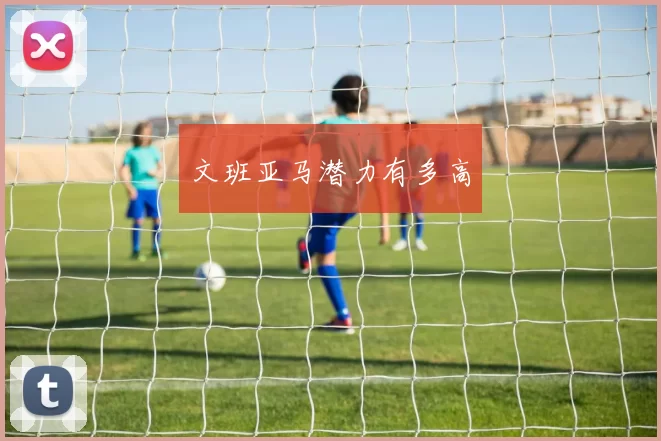 文班亚马潜力有多高